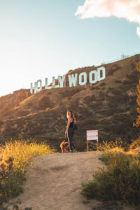 The iconic Hollywood sign